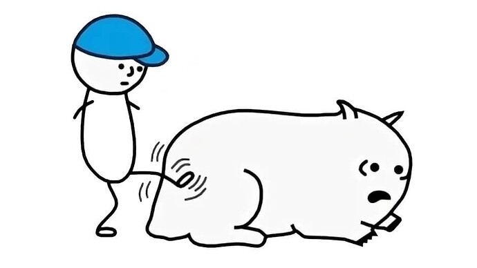 cf2737fed920f459fe2fde10b42c433c