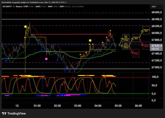 photo_2026-02-12_04-55-12
