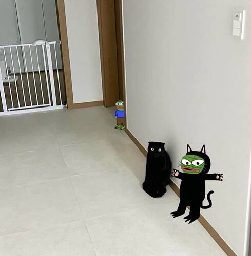 195b1d23ec06b2f868faefc5e9d6d1e1