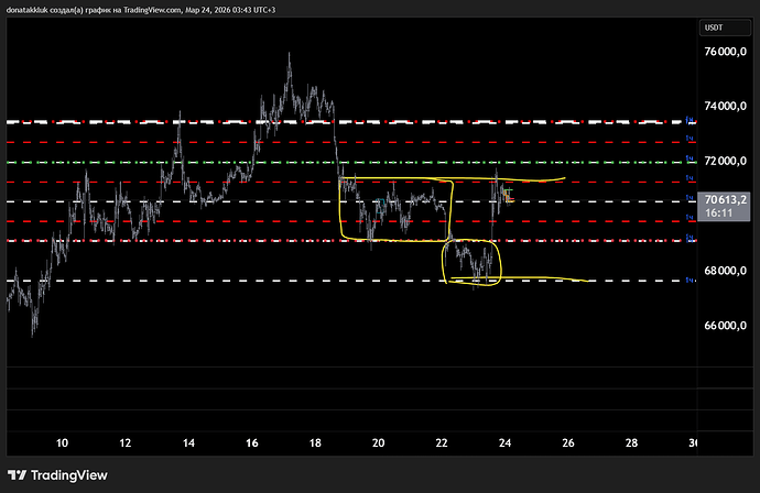 BTCUSDT.P_2026-03-24_03-43-19_6baea