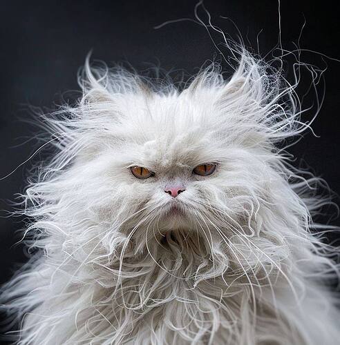 photo_2025-12-16_09-46-35