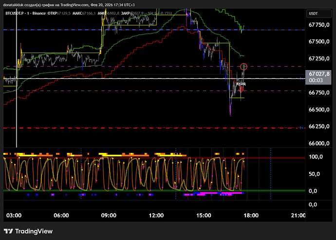 BTCUSDT.P_2026-02-20_17-34-57_073e2