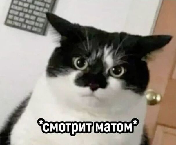 7102b0918ebd4500ecd70e77b5acfb84