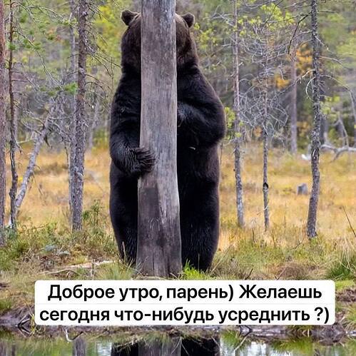 photo_2026-03-20_11-35-44