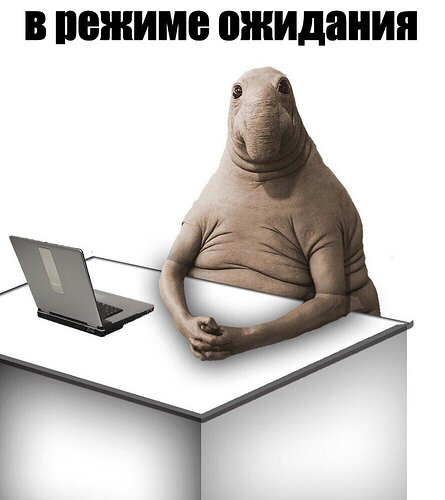 жду