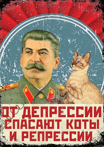 50cc784cdf6b5f954be3169295447691