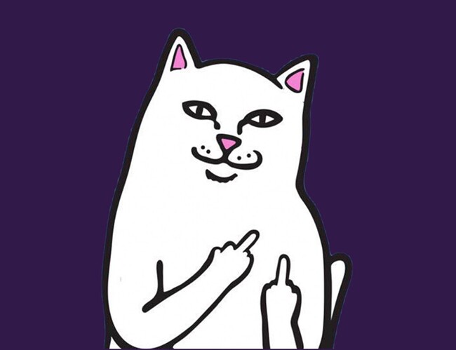 e386355b938b0998395da3a59fd41d43