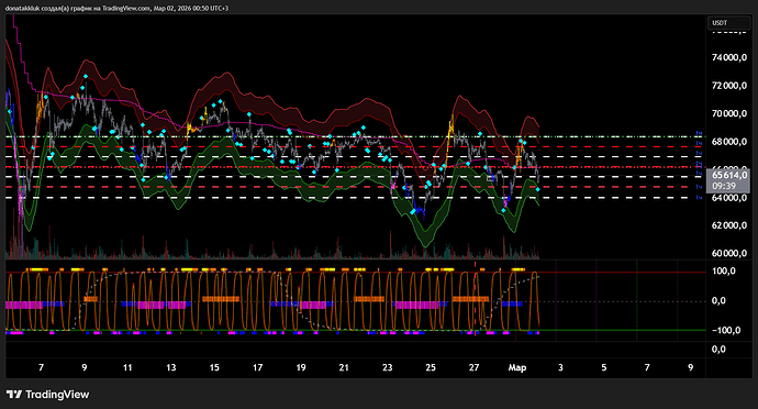 BTCUSDT.P_2026-03-02_00-50-15_ab696